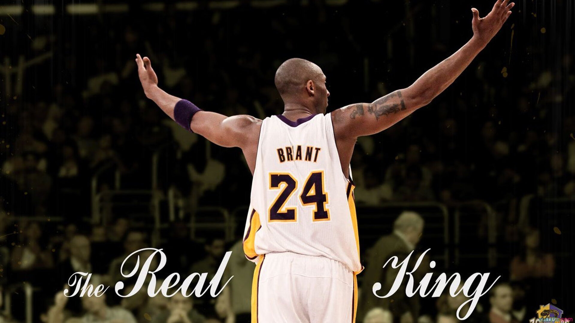 新秀掌控全队 氛围焕发 迎接新挑战，新秀队应该起什么口号